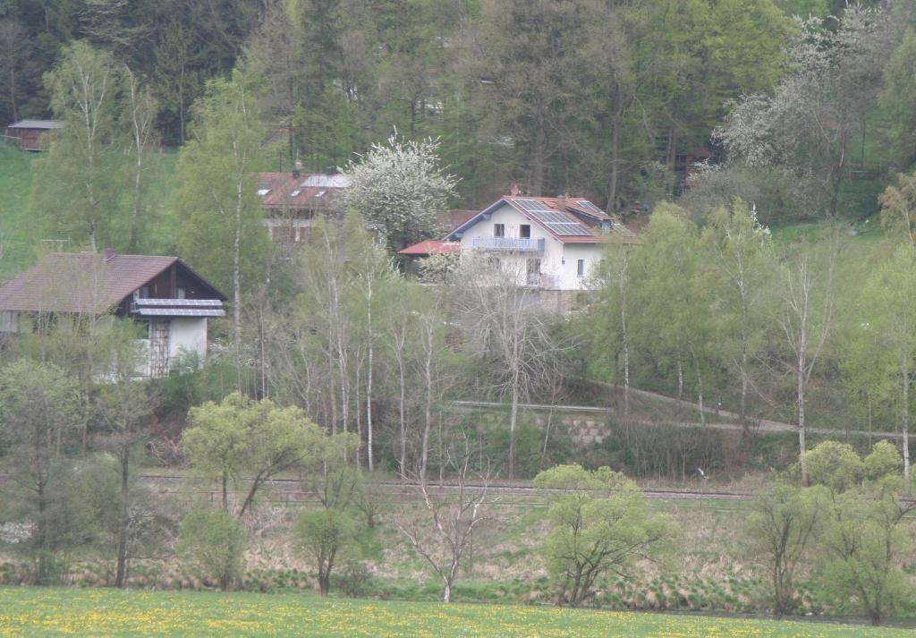 Ferienwohnung Regentalblick Miltach Exterior foto